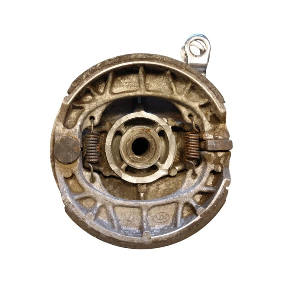 Takajarrukilpi Monkey