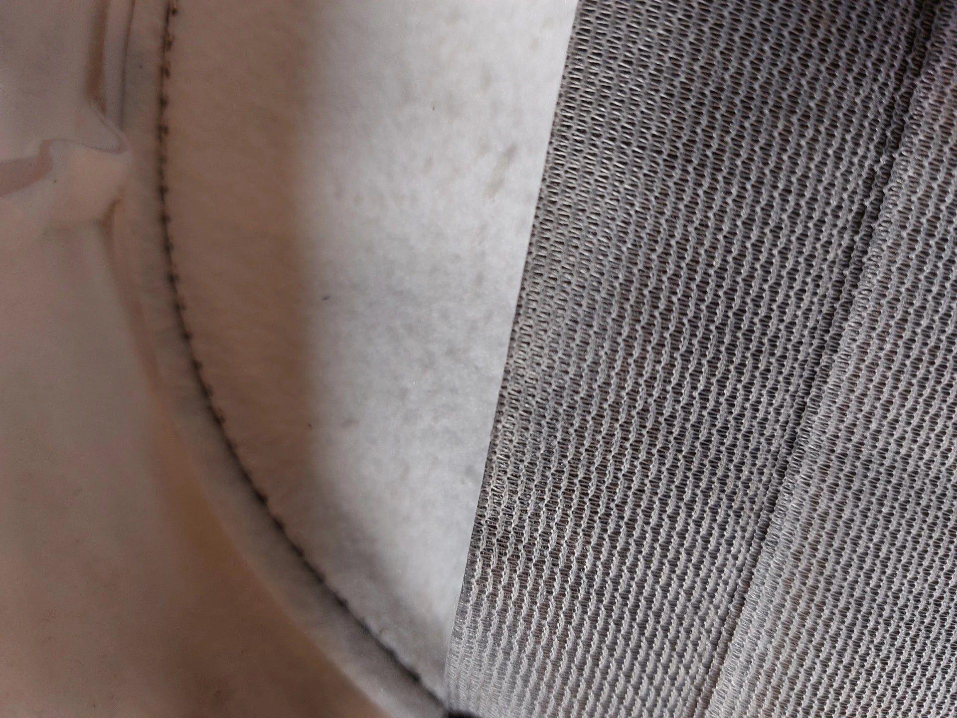 Penkinpäällinen Valkoinen Monkey