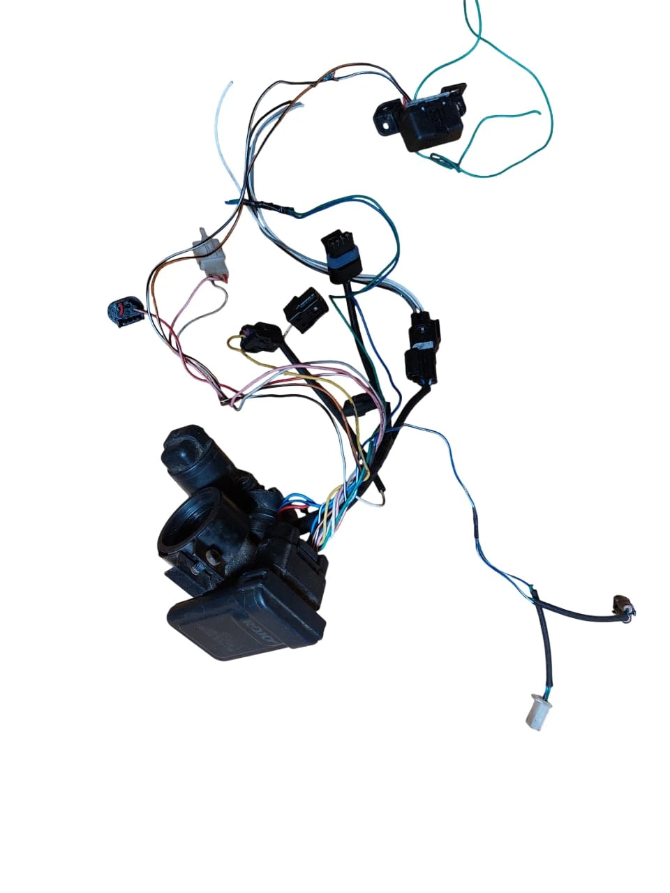 EFI-osia, ROJO ECU E5 Monkey..