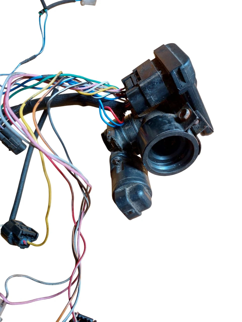 EFI-osia, ROJO ECU E5 Monkey..